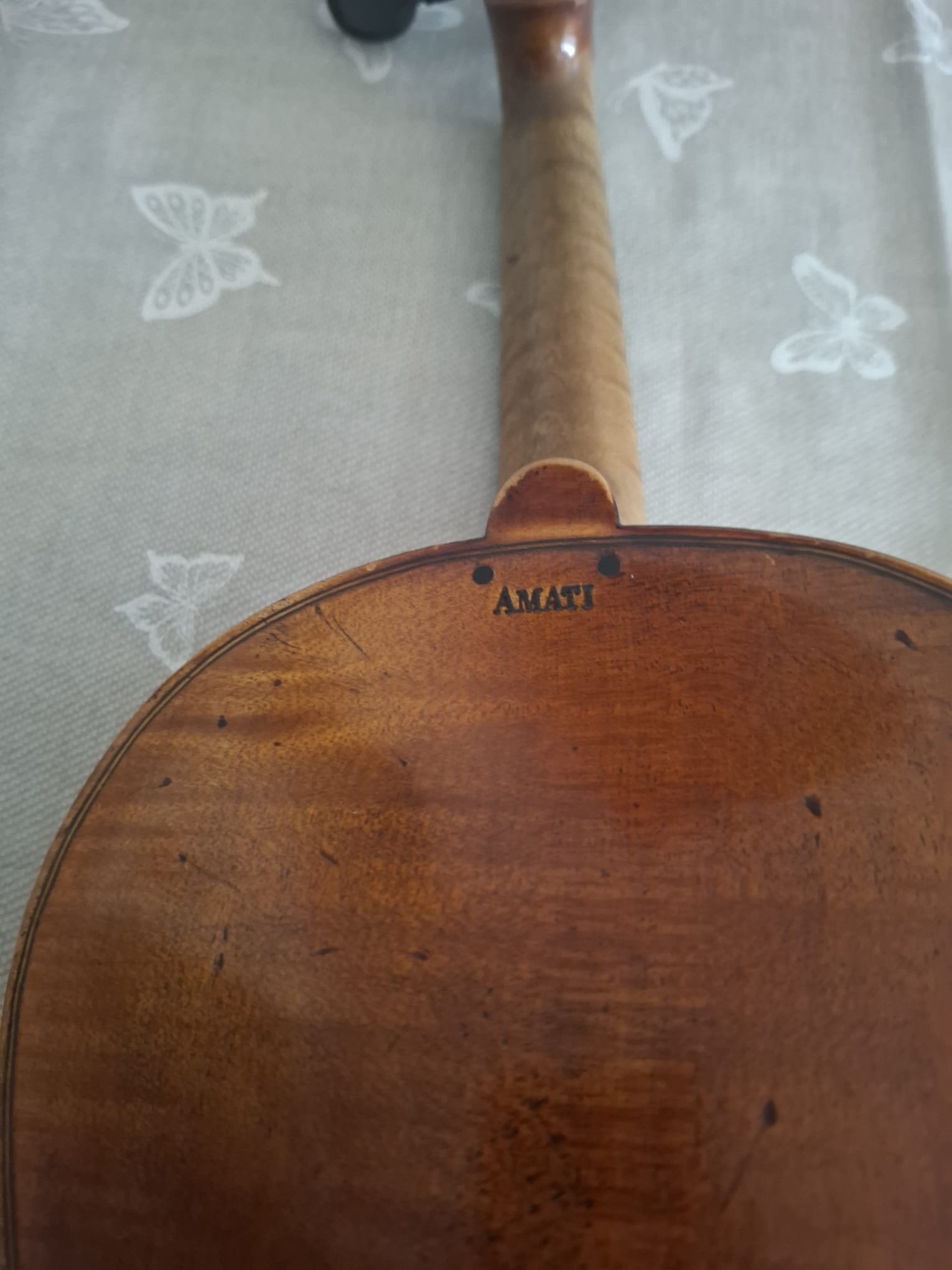 Geige Amati