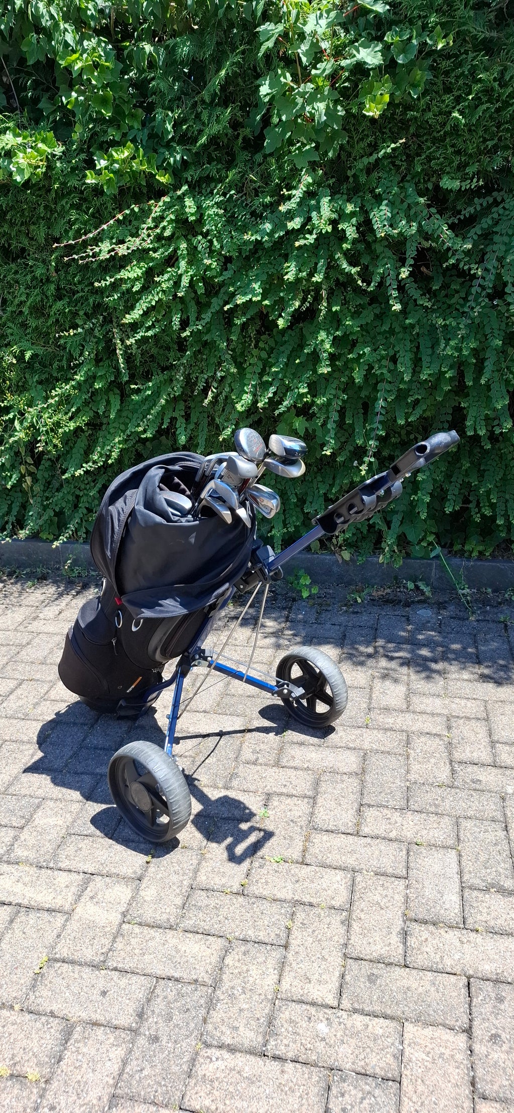 Golfset  mit Golfwagen