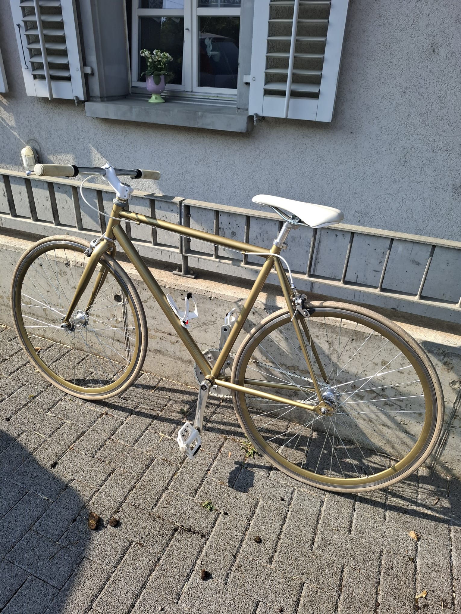 Singlespeed Velo