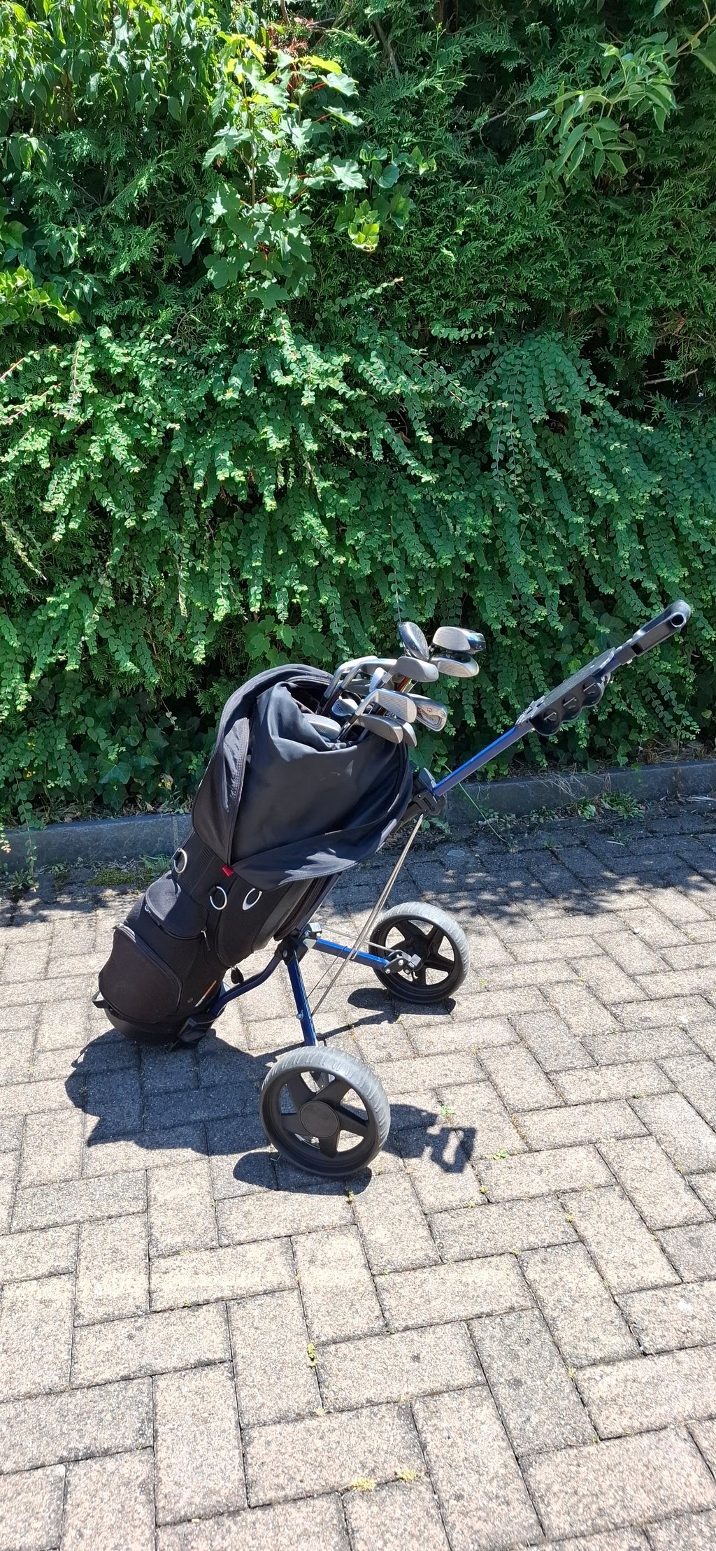 Golfset  mit Golfwagen