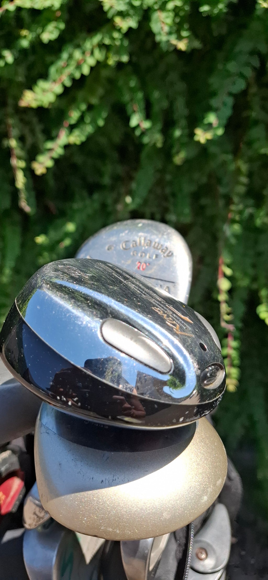Golfset  mit Golfwagen