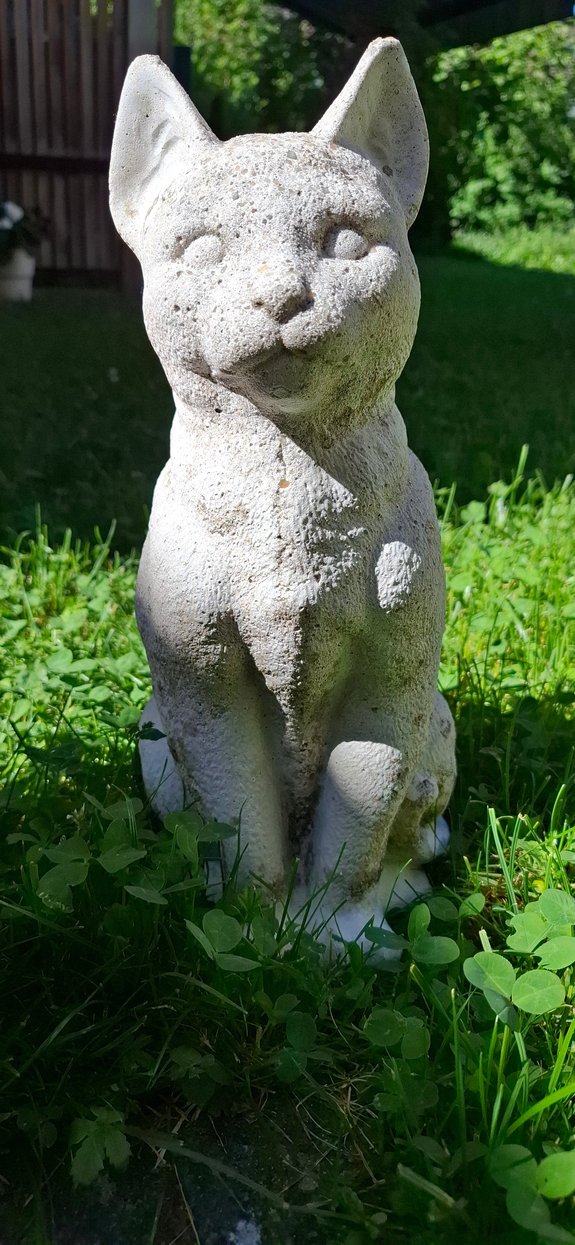 Betonkatze